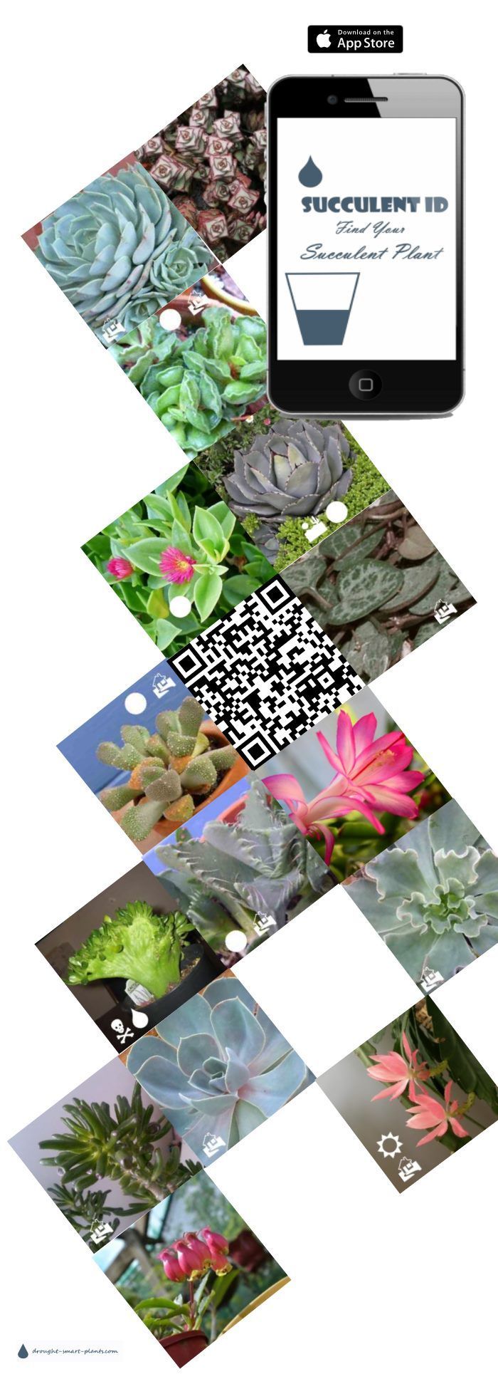 Succulent ID App - find your succulent here -   25 garden quotes small spaces
 ideas