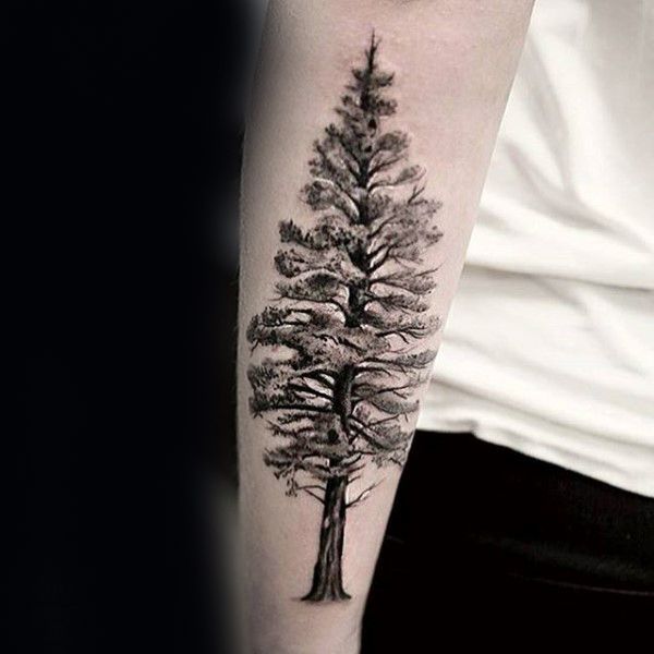 60 Forearm Tree Tattoo Designs For Men - Forest Ink Ideas -   25 mens tattoo tree
 ideas