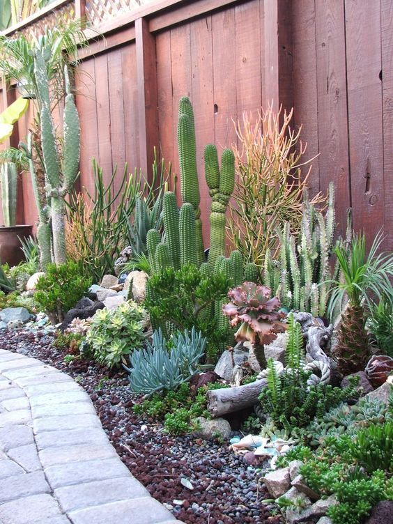 50 Ways Of Creating An Enchanted Succulent Garden In Your Backyard -   25 outdoor garden decoracion
 ideas