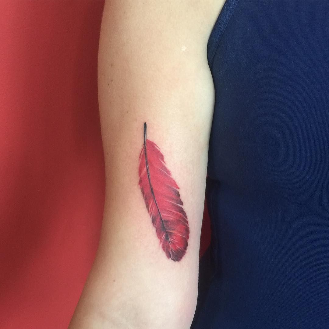 red feather tattoo - Google Search -   18 red feather tattoo
 ideas