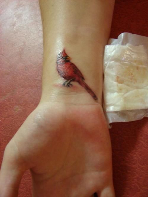I've thought about getting a cardinal when gram passes away and this is the first one I've seen that I've liked -   18 red feather tattoo
 ideas