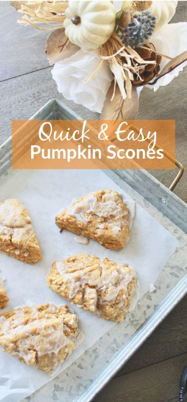 Pumpkin Scones -   20 baking recipes scones
 ideas