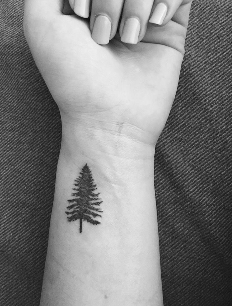 20 fir tree tattoo
 ideas