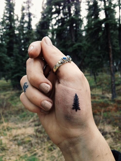 Trees. (Tattoologist) -   20 fir tree tattoo
 ideas