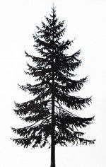pine tree silhouette - Google Search                                                                                                                                                                                 More -   20 fir tree tattoo
 ideas