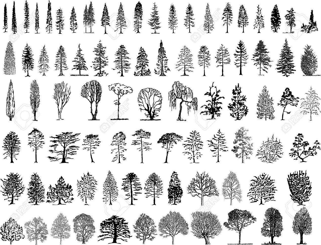 Tree silhouettes -   20 fir tree tattoo ideas
