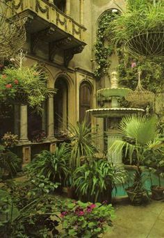 indoor plants victorian - Google Search -   22 victorian courtyard garden ideas