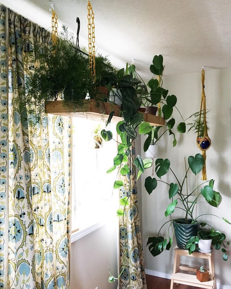 Clever Ways To Hang Your Plants -   23 diy eclectic decor
 ideas