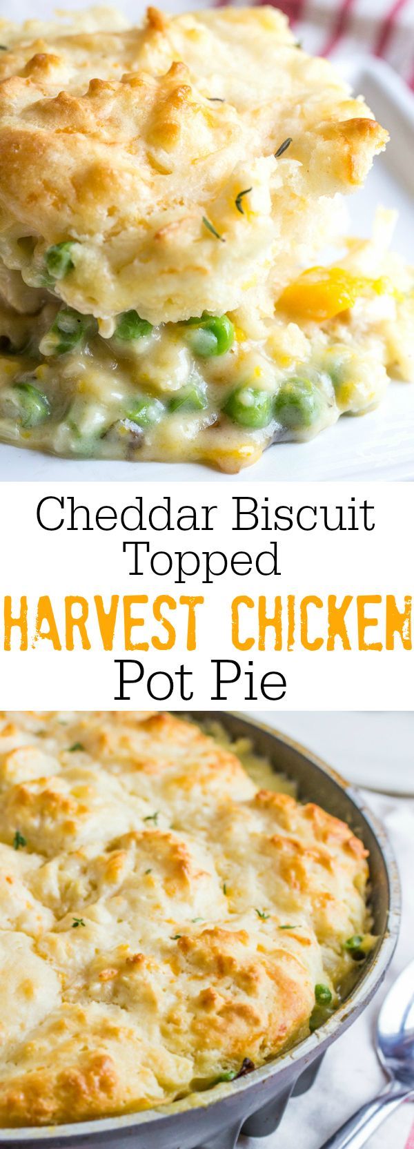 Cheddar Biscuits Topped Harvest Chicken Pot Pie -   23 fall dinner recipes
 ideas