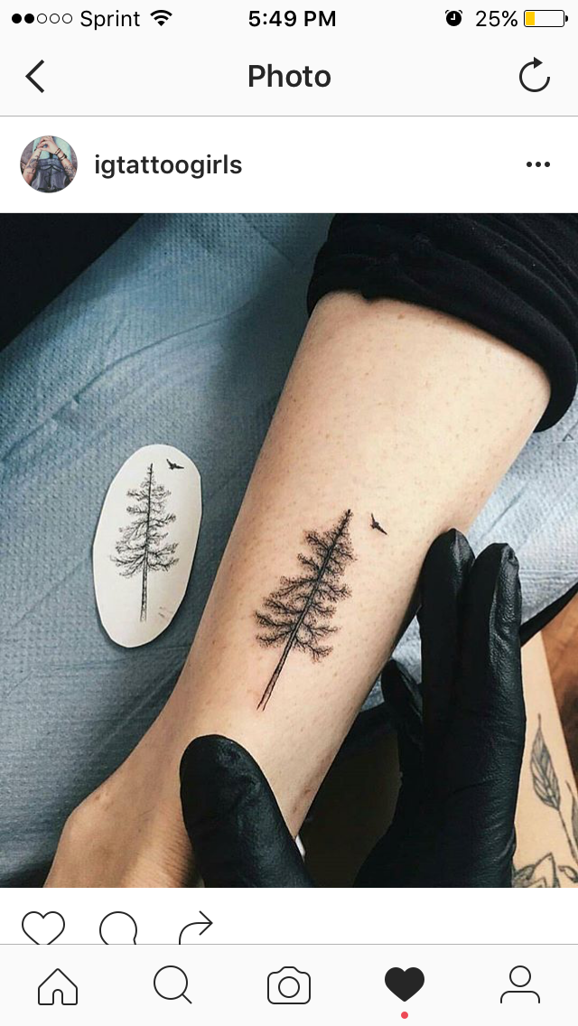 Tree tattoo -   24 old tree tattoo
 ideas