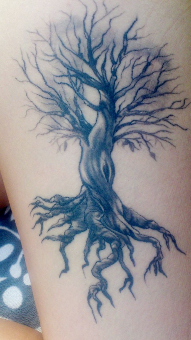 tree tattoos - Google Search -   24 old tree tattoo
 ideas