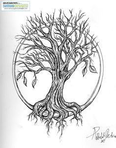 old tree drawing - Google Search -   24 old tree tattoo
 ideas