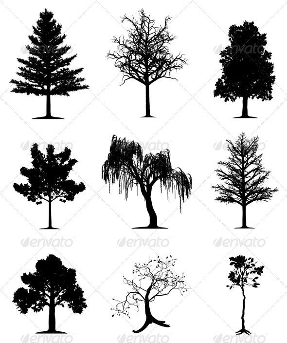 Trees collection - Flowers & Plants Nature -   24 old tree tattoo
 ideas