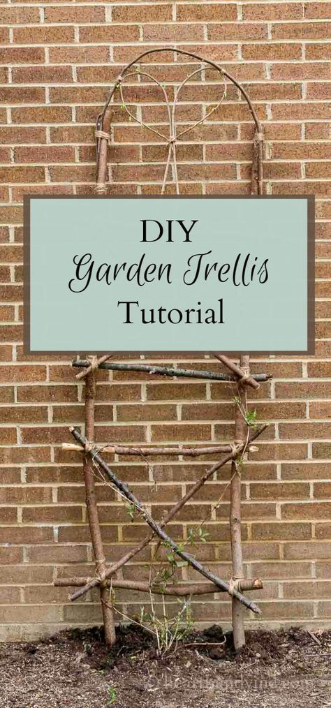 How to Make an Awesome Garden Trellis Almost for Free -   25 garden trellis greenhouses ideas