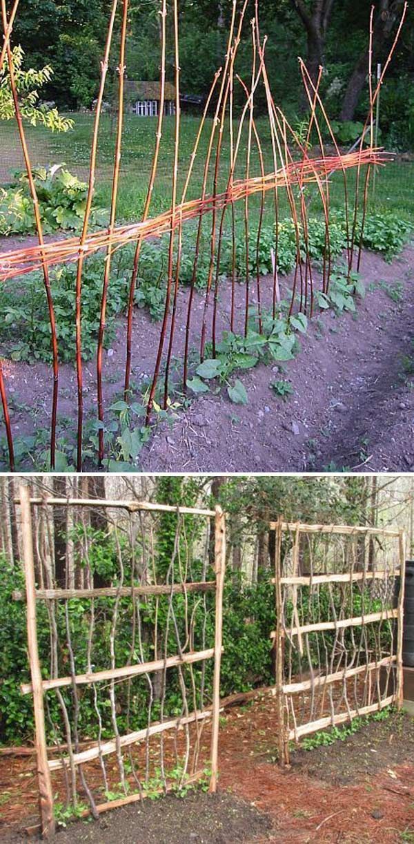 19 Successful Ways to Building DIY Trellis for Veggies and Fruits -   25 garden trellis greenhouses ideas