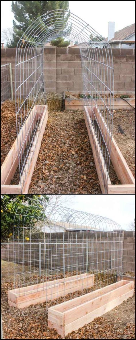 Trellis and raised garden box combo -   25 garden trellis greenhouses ideas