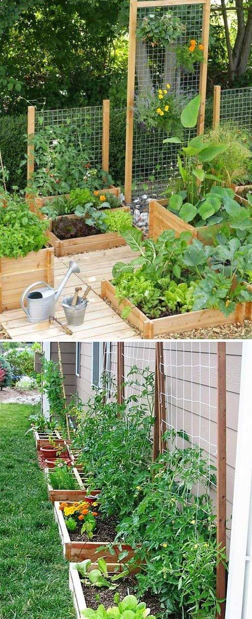 19 Successful Ways to Building DIY Trellis for Veggies and Fruits -   25 garden trellis greenhouses ideas