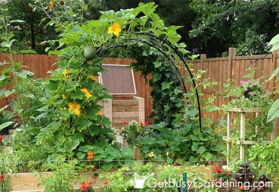 Vertical Vegetable Garden Ideas -   25 garden trellis greenhouses ideas
