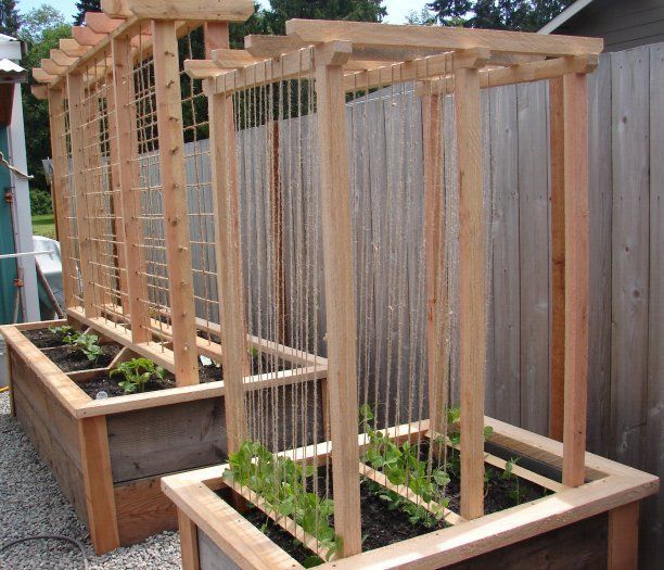 I absolutely love this! I cannot wait to be able to build this. -   25 garden trellis greenhouses
 ideas