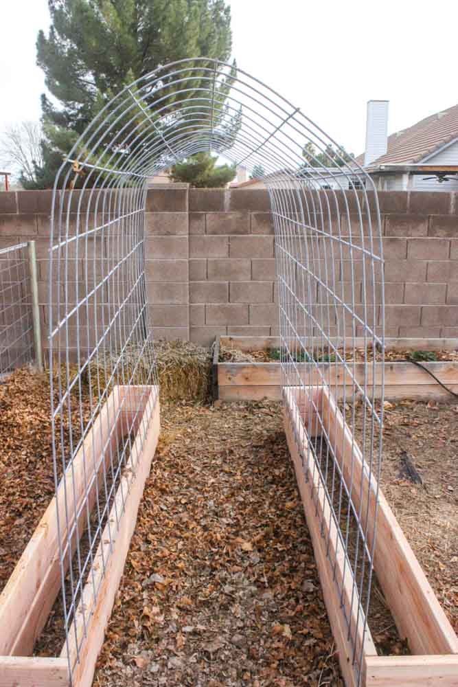 How to make a Trellis & Raised Garden Box Combo -   25 garden trellis greenhouses ideas