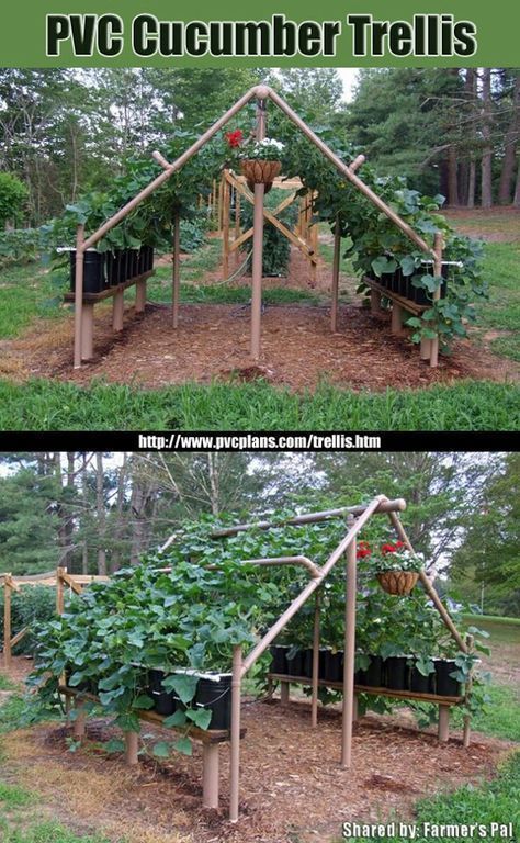 100 Expert Gardening Tips, Ideas and Projects that Every Gardener Should Know -   25 garden trellis greenhouses ideas