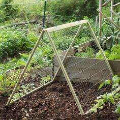 diy-garden-trellis---how-to-build-a-cucumber-trellis -   25 garden trellis greenhouses ideas