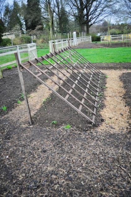 Heavy duty trellis for squash and watermelon.  Grow shade plants like lettuce and carrots underneath. Brilliant! -   25 garden trellis winter
 ideas
