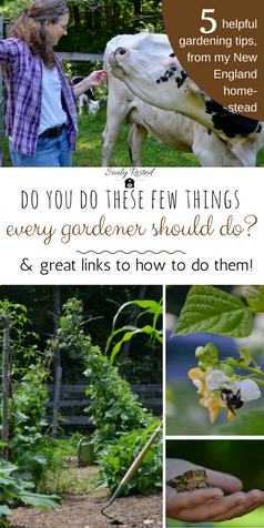 5 Helpful Gardening Tips -   25 garden trellis winter
 ideas