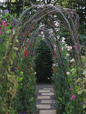 these are so pretty ~ you could also make these 'pet sized' for little puppers that love to explore...like mine. :) -   25 garden trellis winter
 ideas