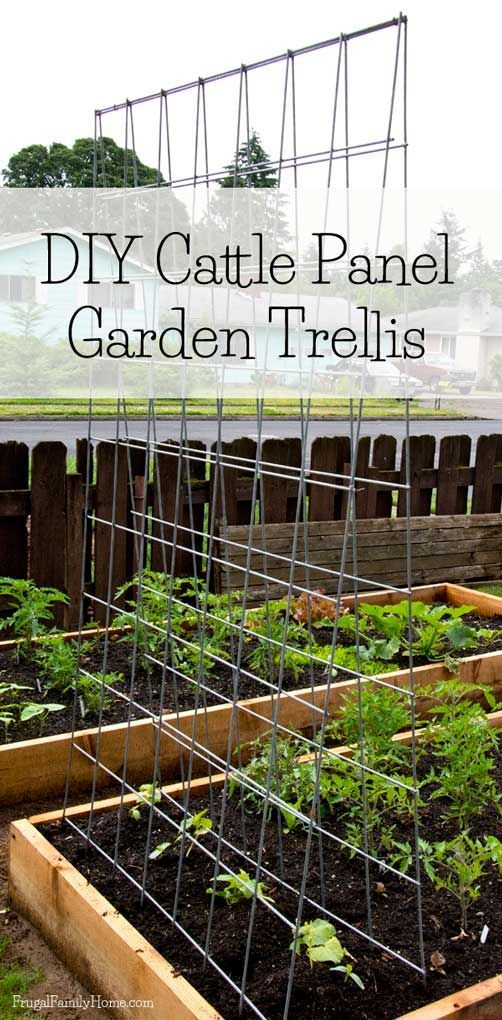 DIY Garden Trellis -   25 garden trellis winter
 ideas