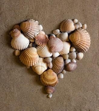 Under the Sea Crafts -   19 seashell crafts heart
 ideas