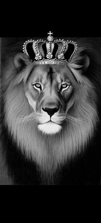 Lion and crown that I liked.                              … -   22 lion tattoo crown
 ideas
