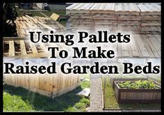 Using Pallets To Make Raised Garden Beds -   23 cheap raised garden
 ideas