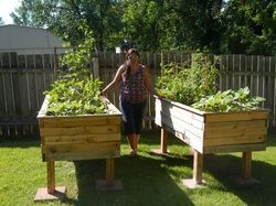 Build A Cheap Raised Bed From Pallets | Raise Your Garden -   23 cheap raised garden
 ideas