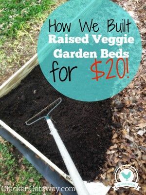 Cheap Raised Vegetable Garden Beds -   23 cheap raised garden
 ideas