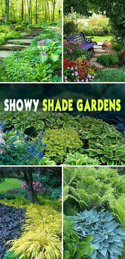 Showy Shade Garden Ideas -   23 cottage garden shade
 ideas