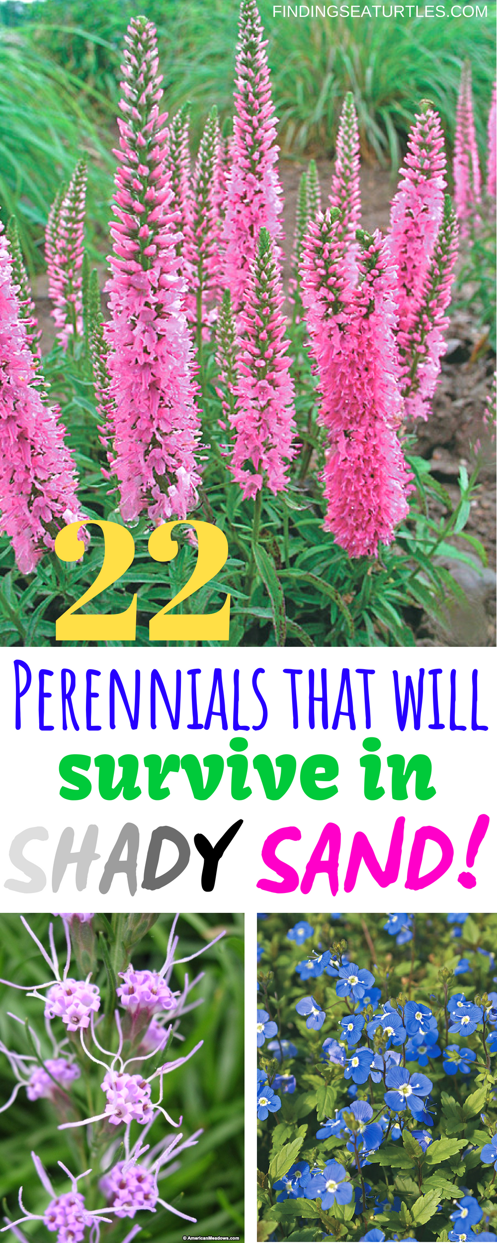 22 Sandy Soil Perennials for Shade -   23 cottage garden shade
 ideas