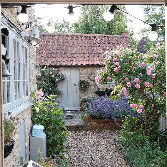 Littlebirdcottage instagram. Morning #myviewrightnow -   23 cottage garden shade
 ideas