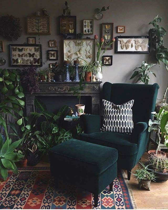 I love the armchair so much and the plants and the butterfly collection on the wall!! Repin by Claire from www.chroniclifehacks.com Ideas to make your life with Chronic Illness more enjoyable. -   23 dark eclectic decor
 ideas