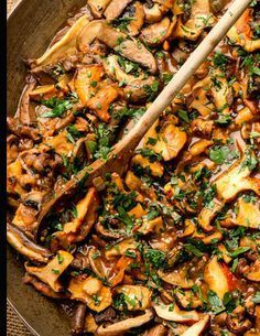 23 fresh mushroom recipes
 ideas