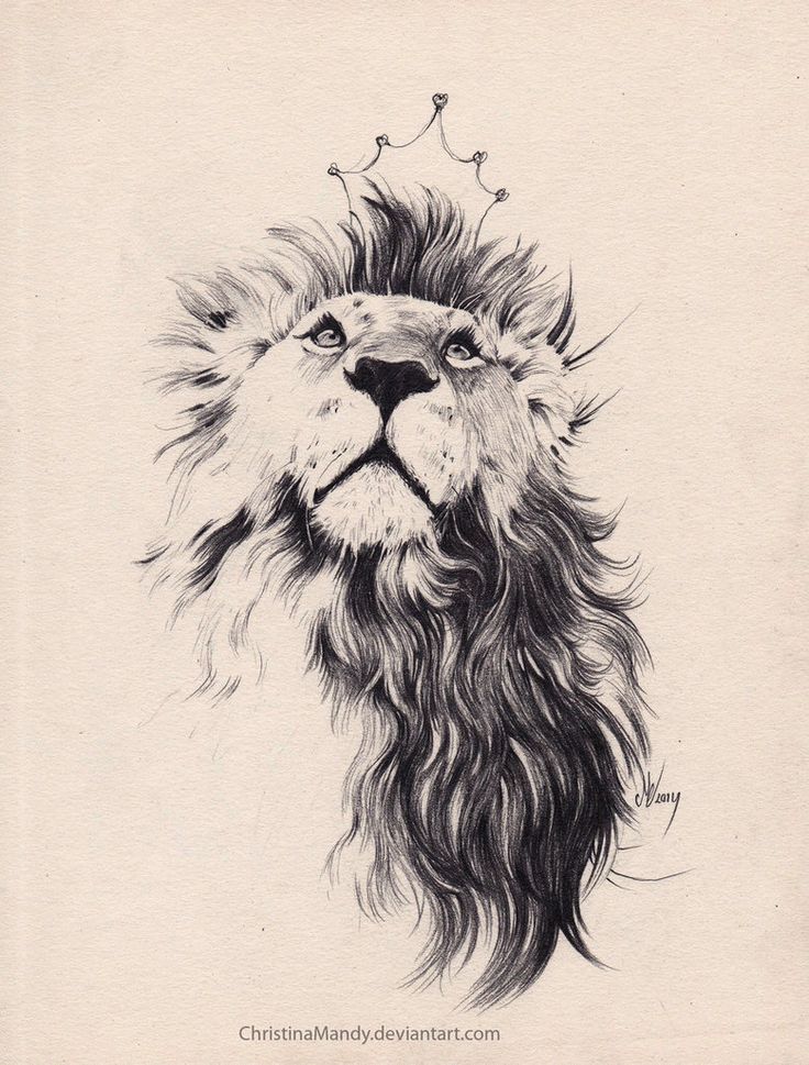 Bildergebnis f?r lion tattoo -   23 lion tattoo ink
 ideas
