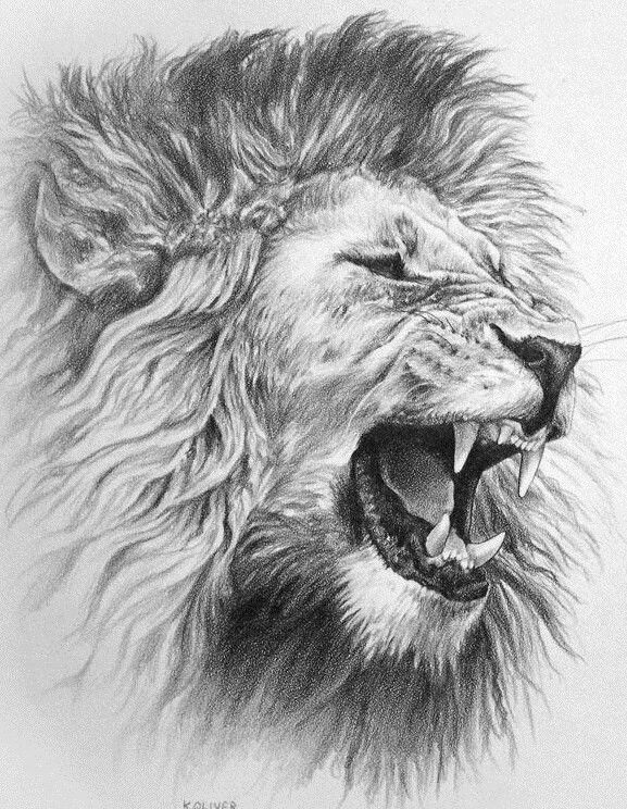 tattoo roaring lion - Google-Suche -   23 lion tattoo ink
 ideas