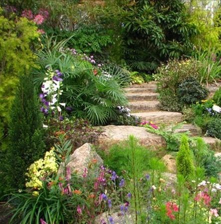 Stairs in rock garden -   23 tropical rock garden
 ideas