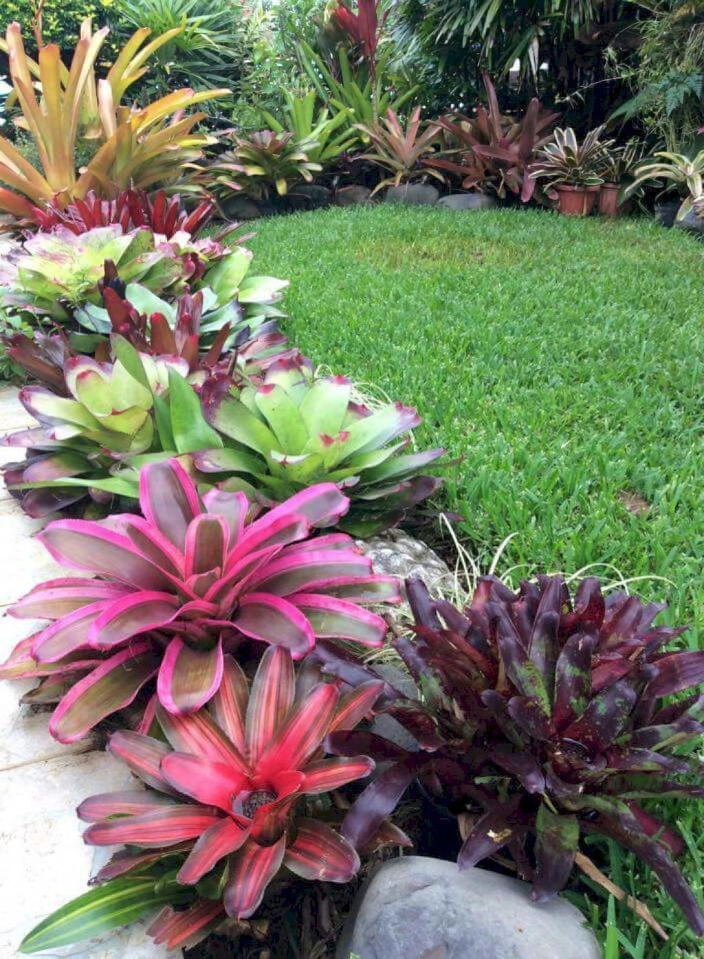 26 Awesome Front Yard Rock Garden Landscaping Ideas #frontyardlandscaping -   23 tropical rock garden
 ideas
