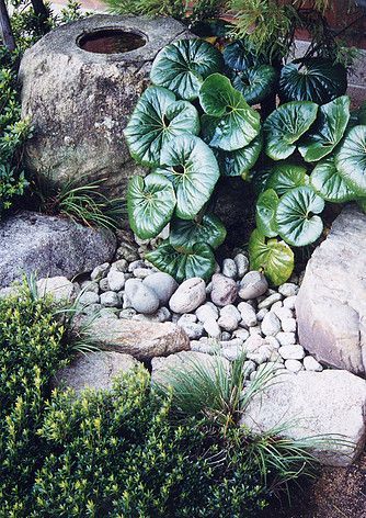 Tsukubai mpkeane Awanosato Park - jardin Japonais - bassin -   23 tropical rock garden
 ideas