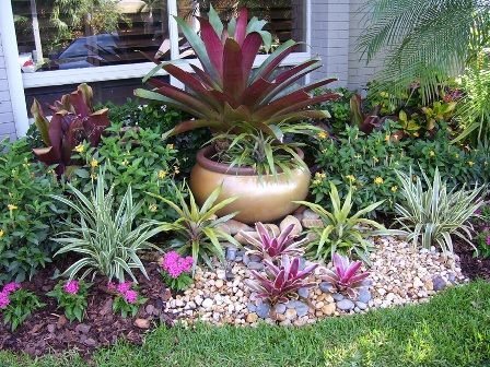 Some bromeliads in landscaping -   23 tropical rock garden
 ideas