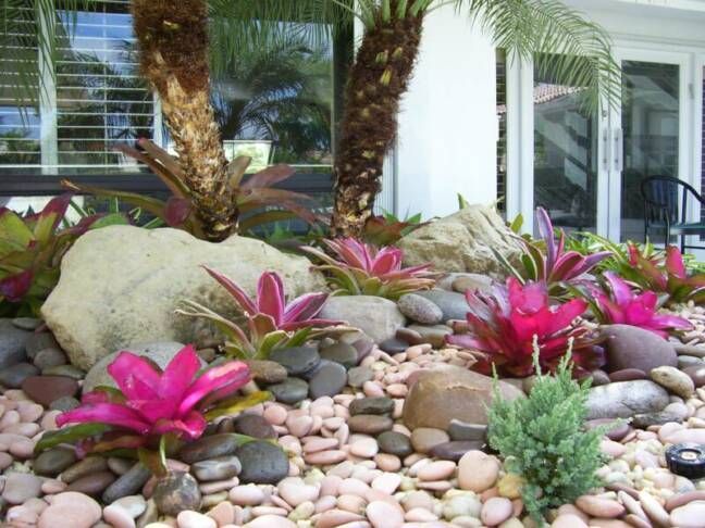 tropical backyard landscaping ideas - -   23 tropical rock garden
 ideas