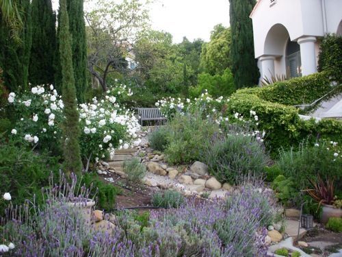 Mediterranean landscape: iceberg roses, lavender, rosemary, succulents -   24 garden inspiration french
 ideas
