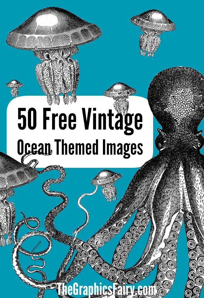 50 Free Ocean Themed Graphics -   24 nautical decor printable
 ideas