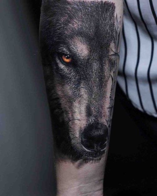 Realistic Wolf Arm Tattoo | Best Tattoo Ideas Gallery -   24 tattoo arm wolf
 ideas